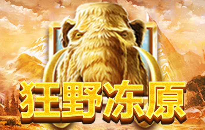 bob全站下载官网app